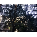 quanto custa aluguel andaime multidirecional em Marapoama